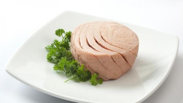 شرکت های تولید کننده تن ماهی ارزان قیمت