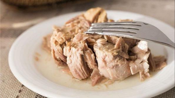 فروشندگان تن ماهی عمده با کمترین قیمت