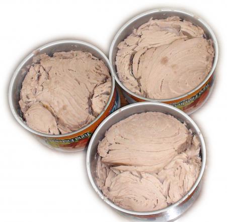 تولید و عرضه تن ماهی با کمترین قیمت