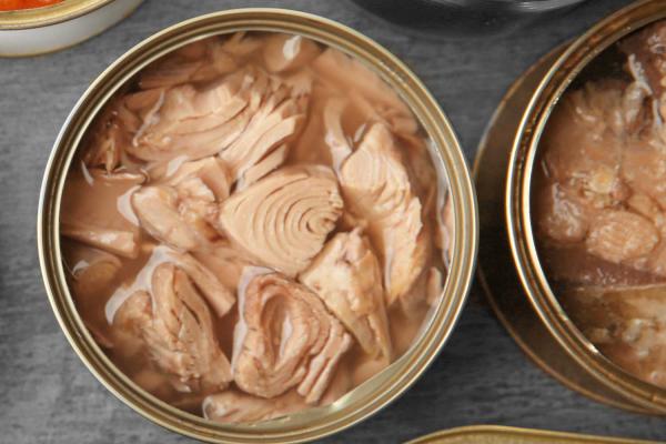 لیست مراکز فروش تن ماهی ارزان قیمت