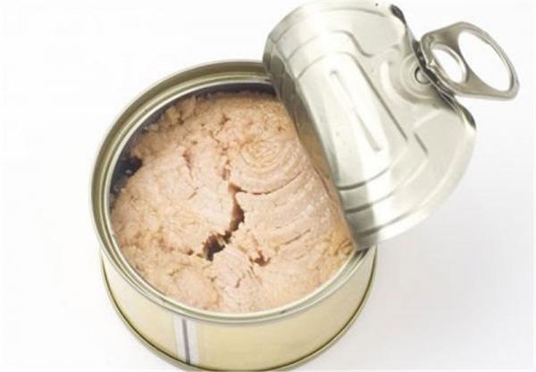 نمایندگی های فروش تن ماهی ارزان قیمت 