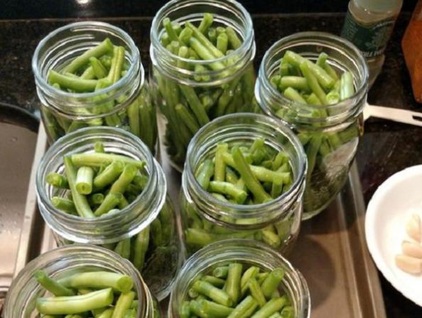 نمایندگی فروش کنسرو لوبیا سبز به قیمت عمده