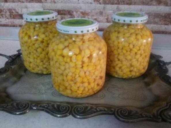 فروش عمده کنسرو ذرت مکزیکی درجه یک