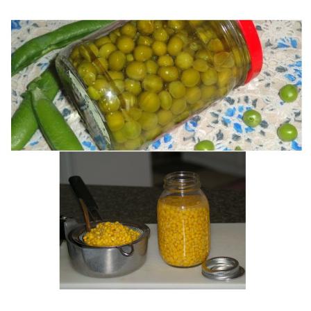 بازاریابی و فروش کنسرو ذرت و نخود سبز