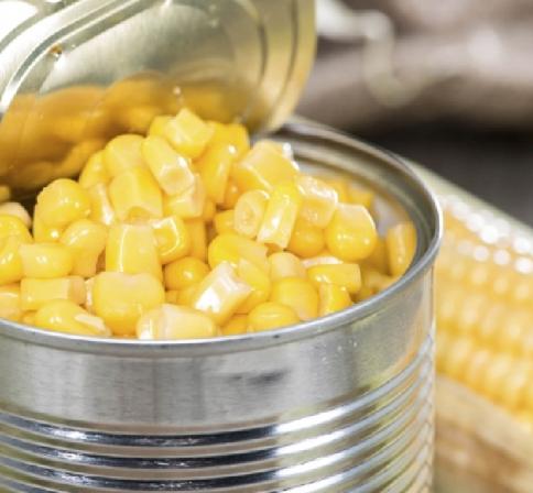 تولید و عرضه کنسرو ذرت در حجم های مختلف