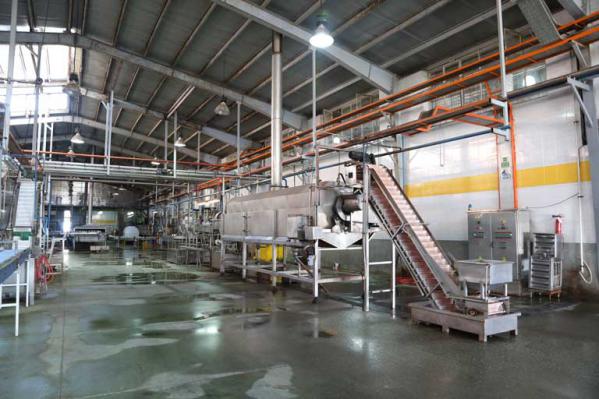 شرکت های تولید و عرضه کنسرو لوبیا قرمز