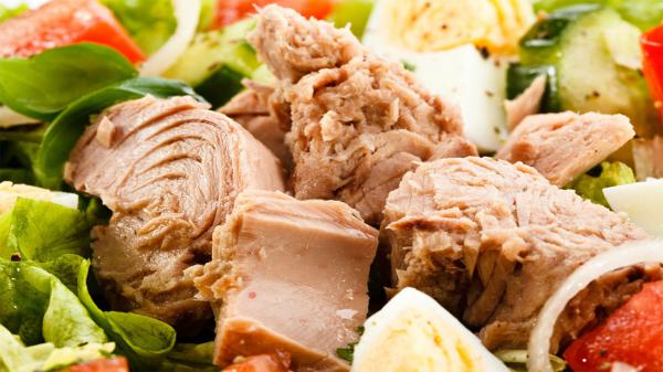 قیمت روز تن ماهی جنوب در شرکت های توزیع کننده