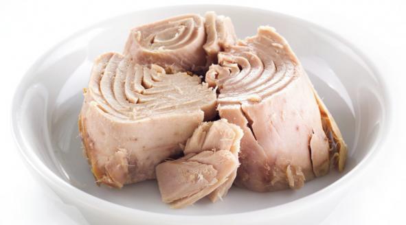 فروشنده تن ماهی جنوب با بهترین قیمت