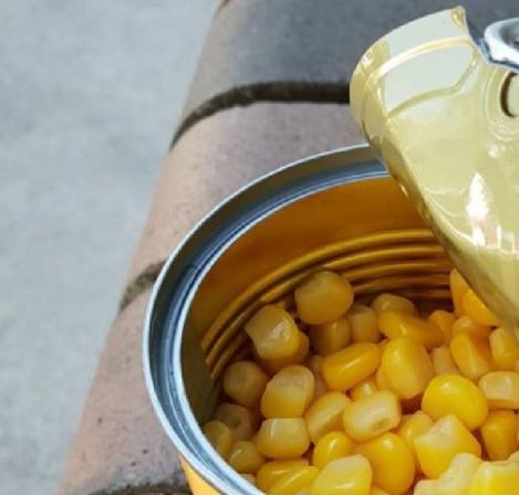 خرید و فروش کنسرو ذرت در تهران