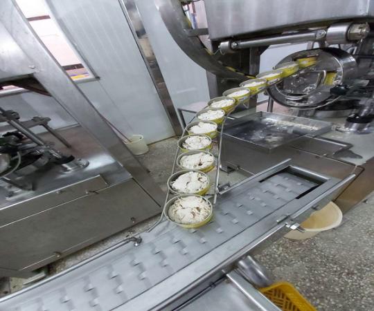 فروش تن ماهی صادراتی به صورت مستقیم