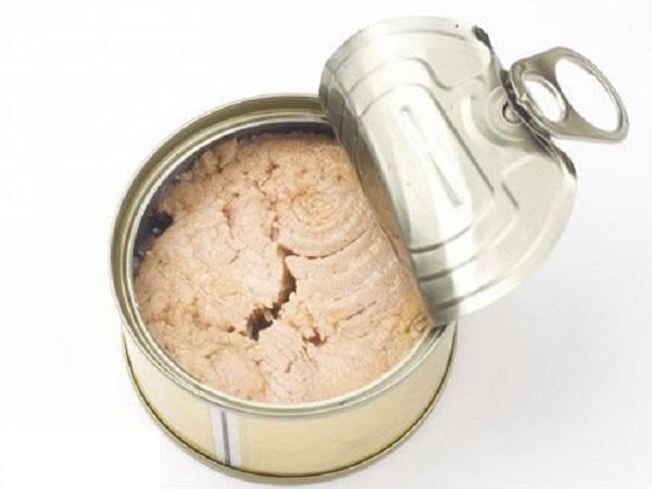 صادر کننده بهترین نوع کنسرو ماهی ایرانی